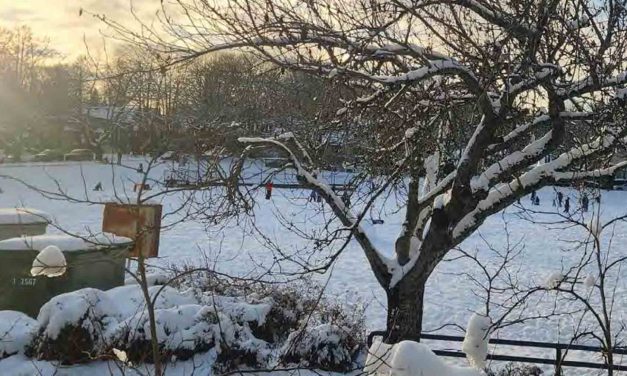 Check out our Winter 2026 Programs