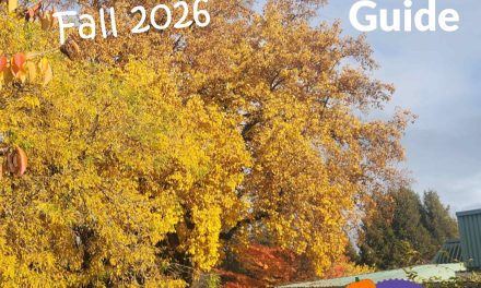 Check out our Fall 2026 Programs