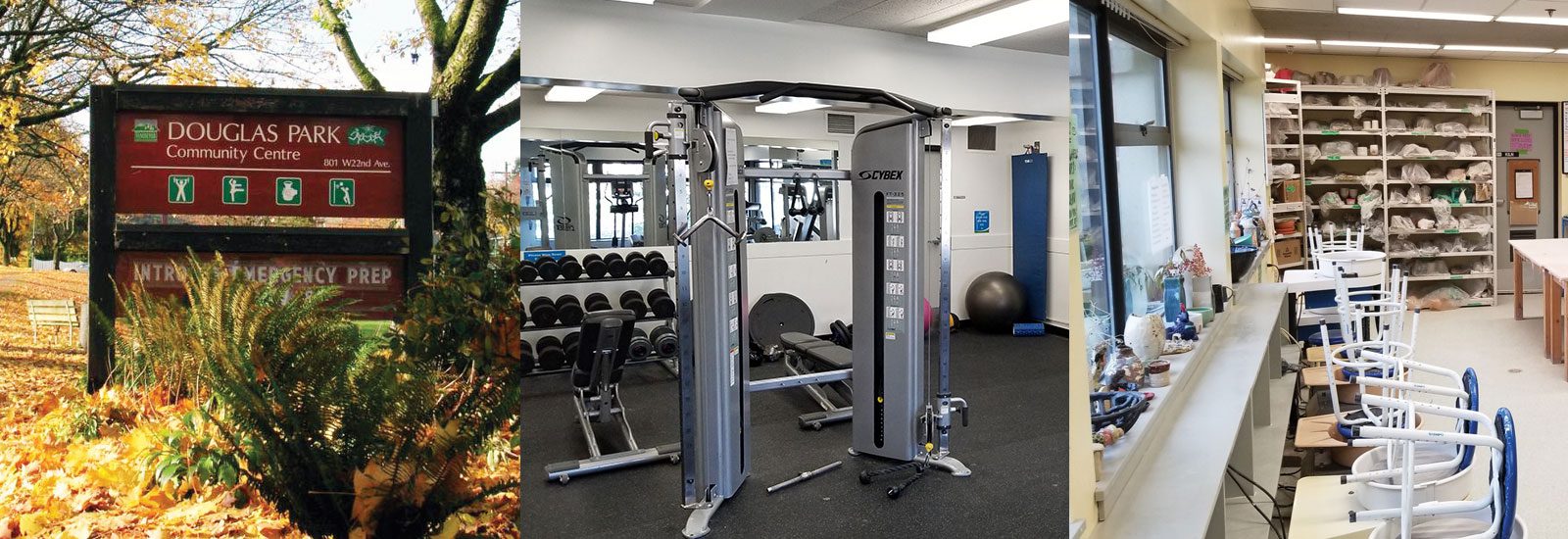 Douglas Park Community Association AGM November 21, 2023 • Douglas